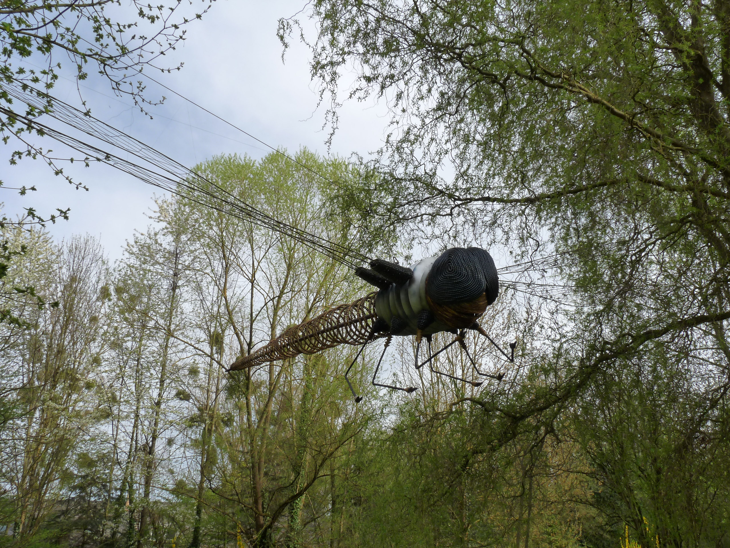 20180414175347 P1110080